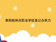 莱阳柏林庄职业学校是公办民力