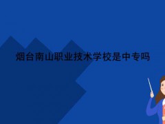 烟台南山职业技术学校是中专吗